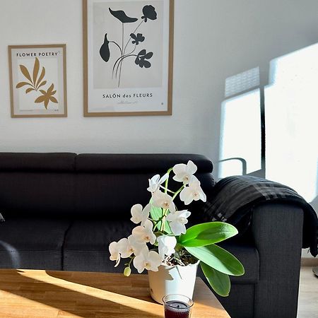 Modernes Zwei-Zimmer-Apartment Chemnitz - Kassberg Buitenkant foto